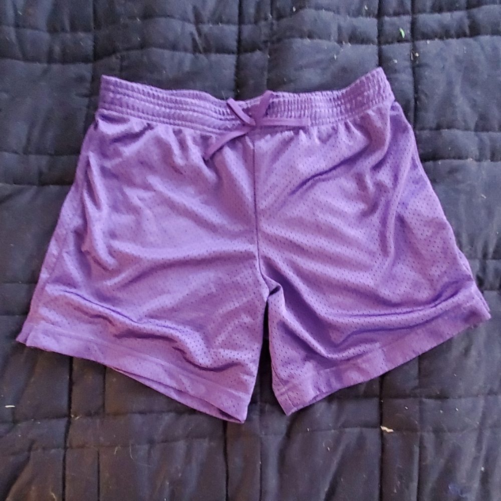 DanSkin Now Purple Exercise Shorts.